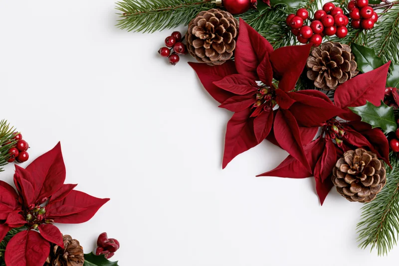 Red poinsettia and pinecone corner border arrangement on white background with copyspace
