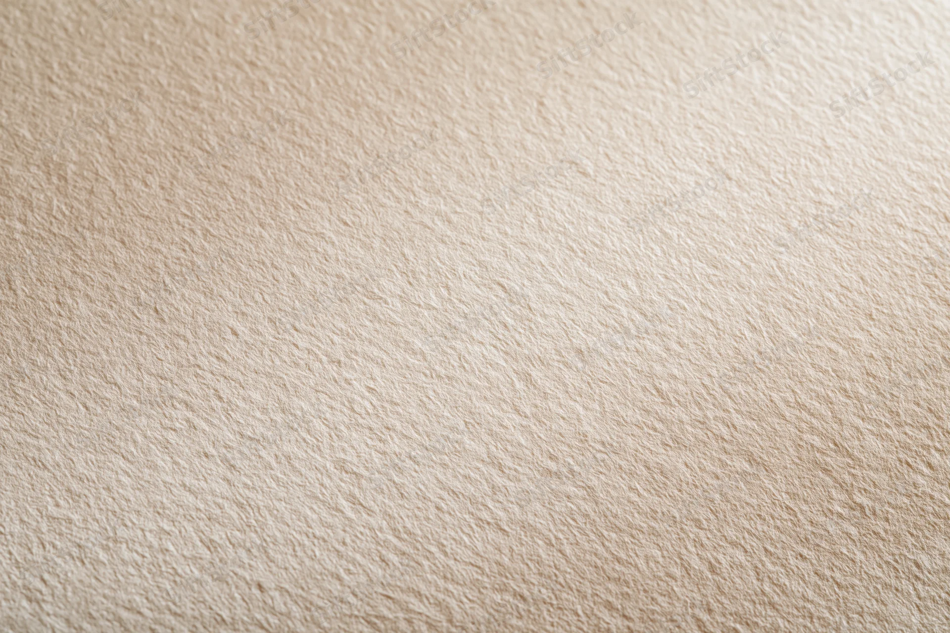 Close-up of smooth cream-colored paper or canvas texture filling the frame
