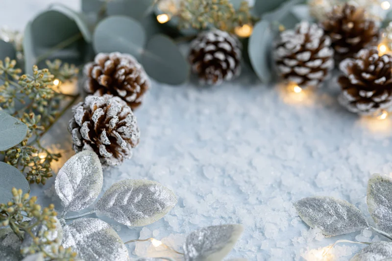 Frosted pinecones and silver eucalyptus arranged in a flat lay with string lights on a snowy surface
