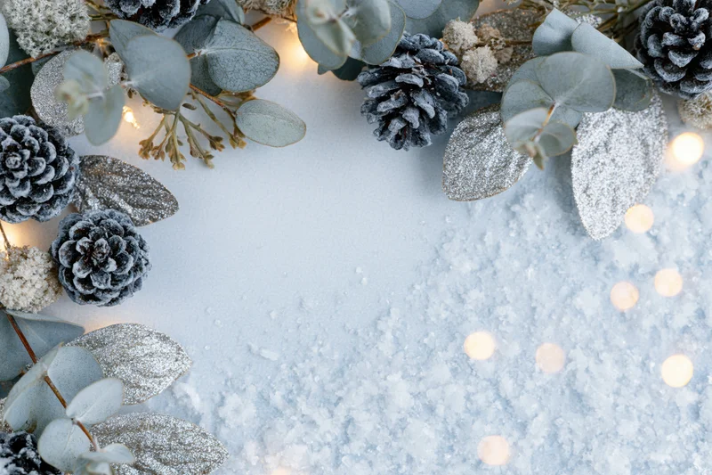 Frosted pine cones and eucalyptus sprigs arranged in a flat lay frame on snowy surface with warm bokeh lights