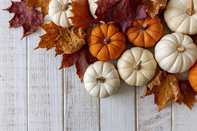 Small orange and white pumpkins scattered among dried maple leaves on a white wooden surface