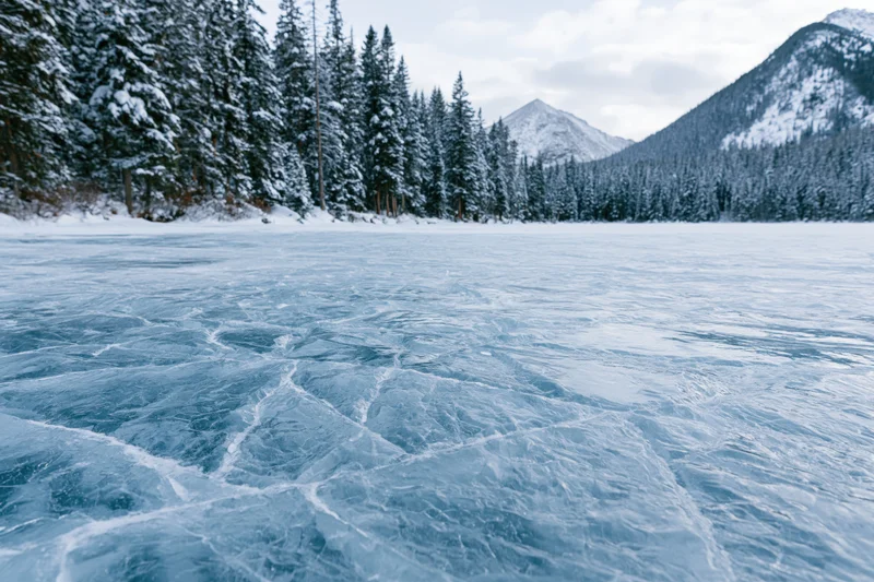 Cracked blue ice covering a frozen alpine lake surrounded by snow-covered pine trees and distant mountains