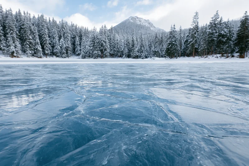 Cracked blue ice covering a frozen alpine lake surrounded by snow-covered pine trees and a distant mountain under a partly cloudy sky