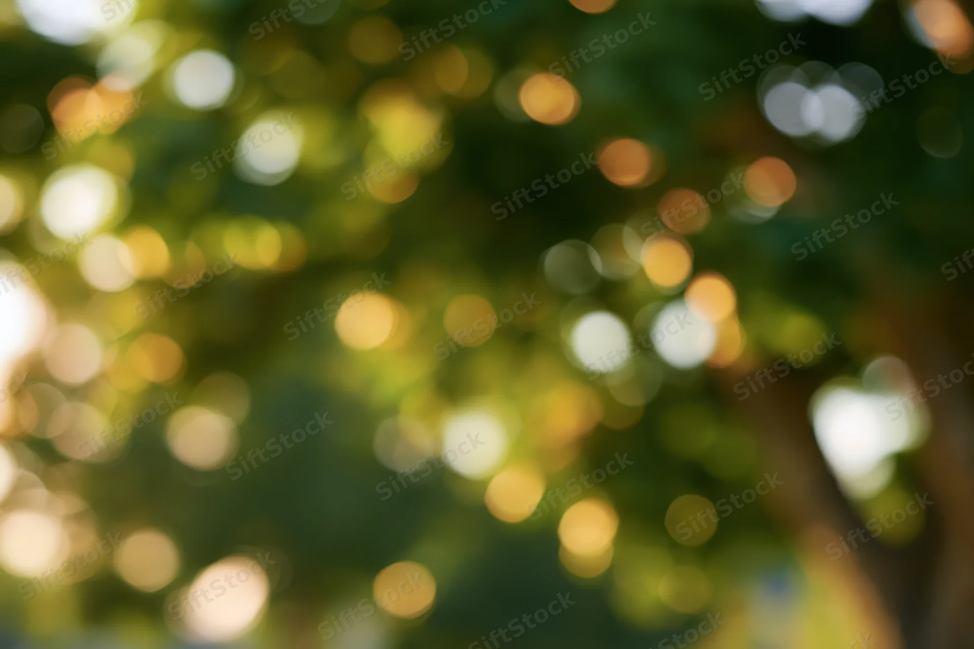 Defocused outdoor trees with dappled sunlight creating bokeh effect in natural setting