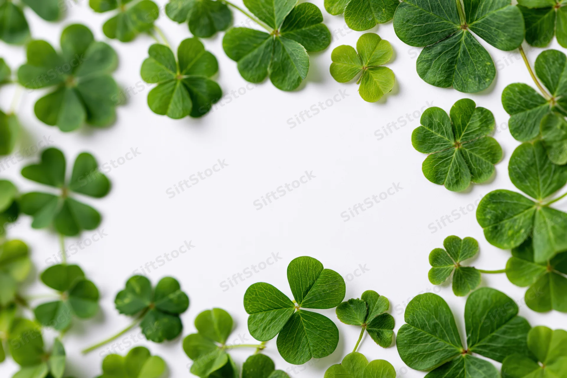 Green clover and shamrock leaves arranged in a frame around a white background with copyspace