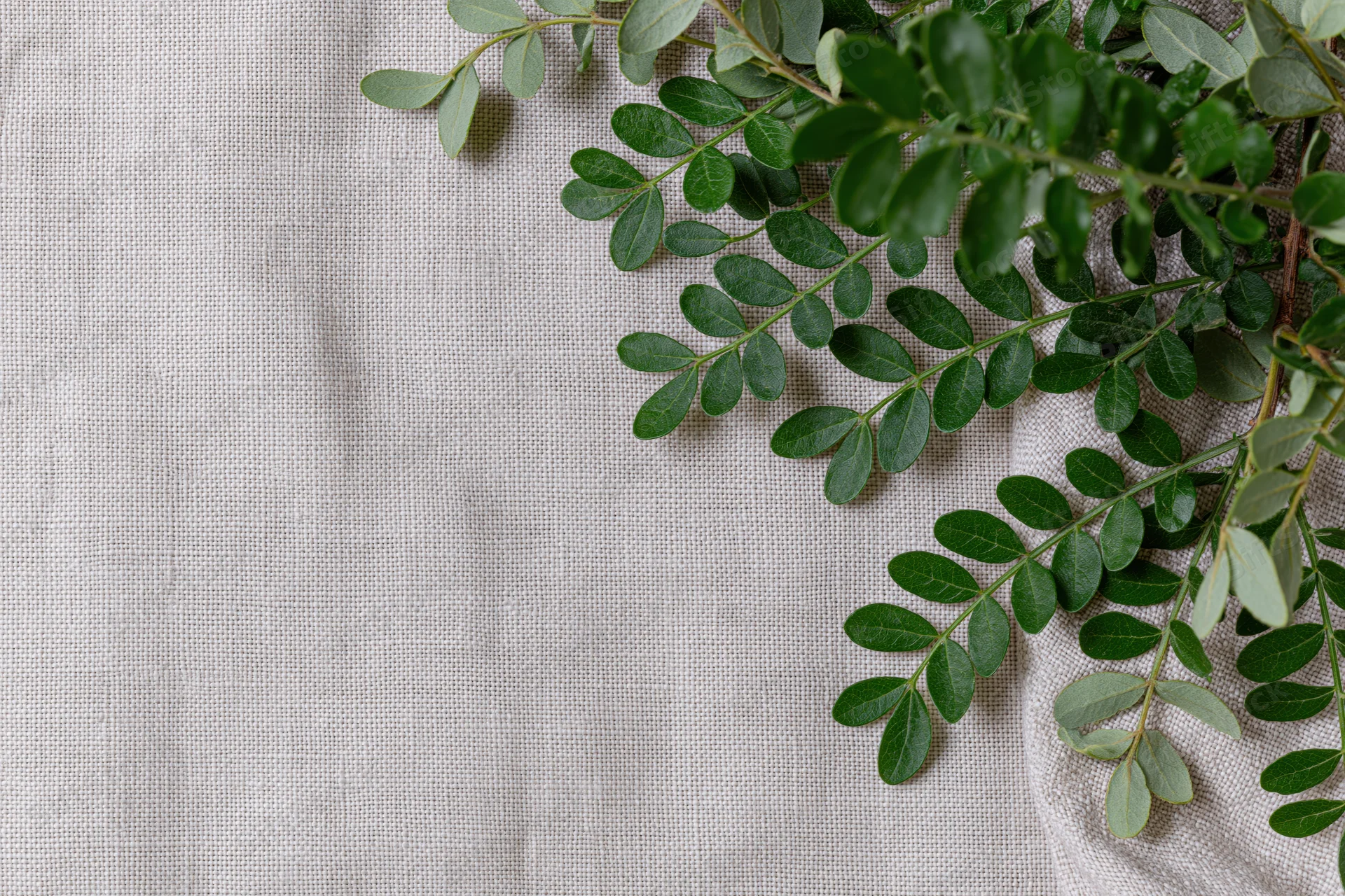 Green leafy branches with small oval leaves arranged on beige linen fabric