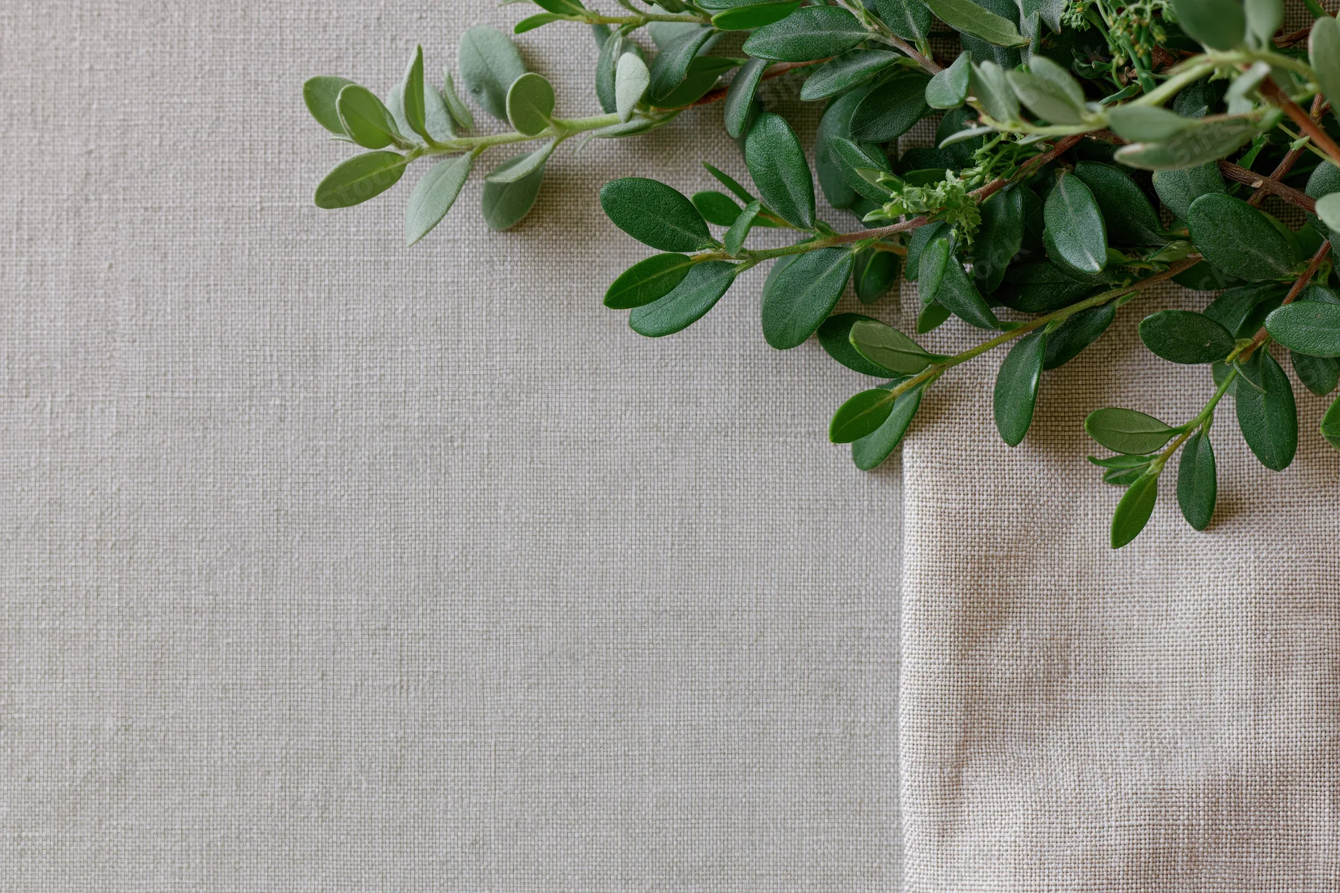 Green leafy branches with small oval leaves arranged along the top right corner on a beige linen fabric background with copyspace