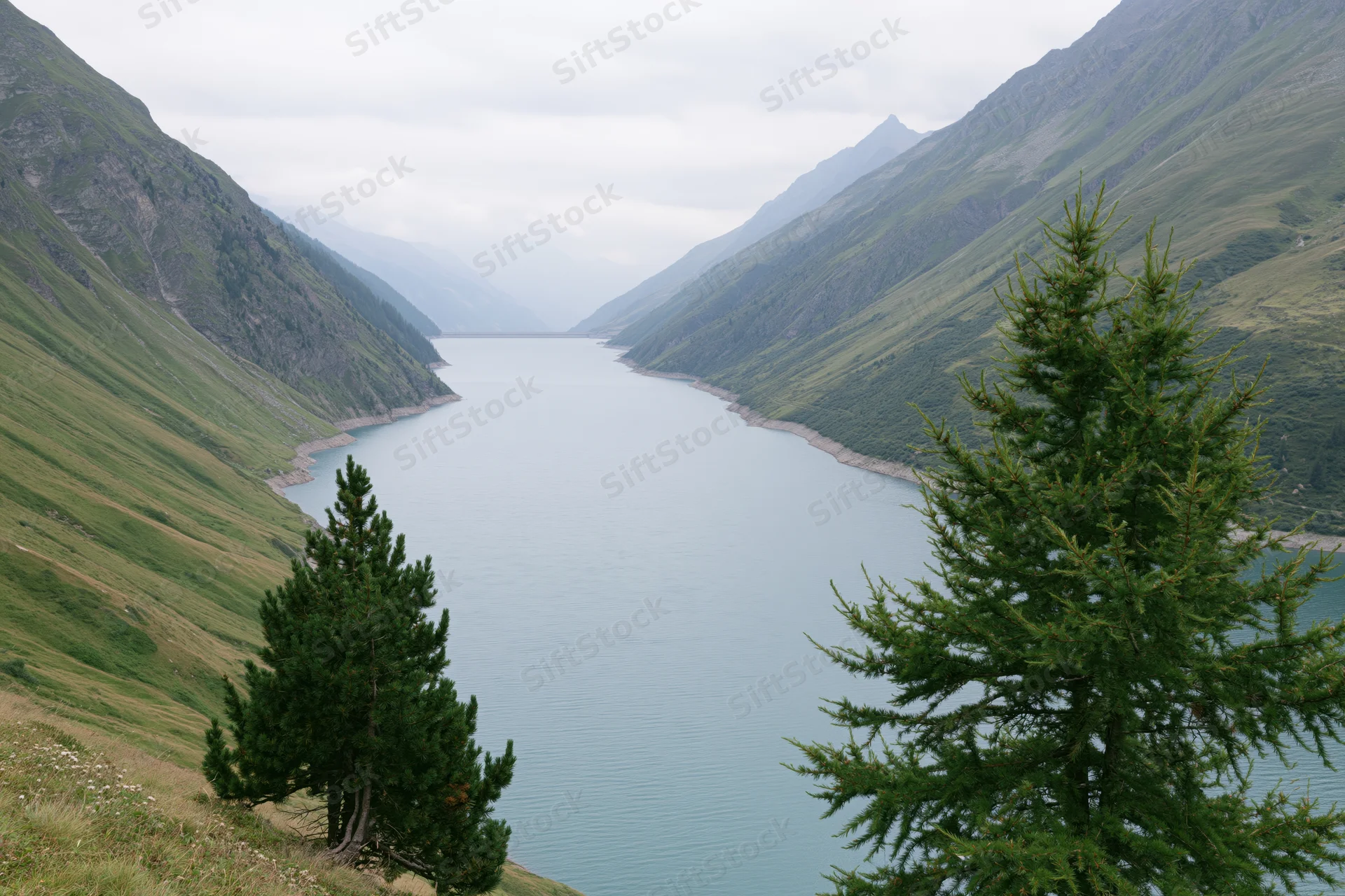 High-altitude reservoir nestled between steep green mountains with pine trees in foreground