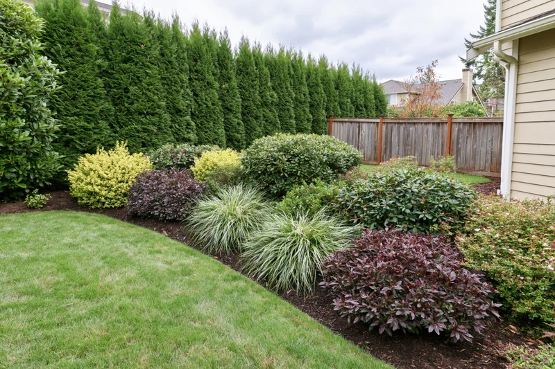 Landscaped suburban backyard with manicured green lawn and shrub border along house exterior