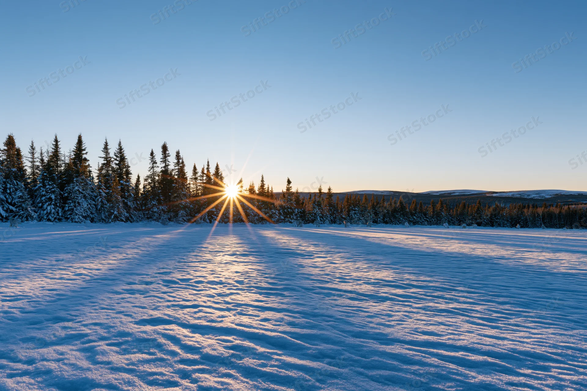 Low winter sun setting over snow-covered spruce forest in a vast open field