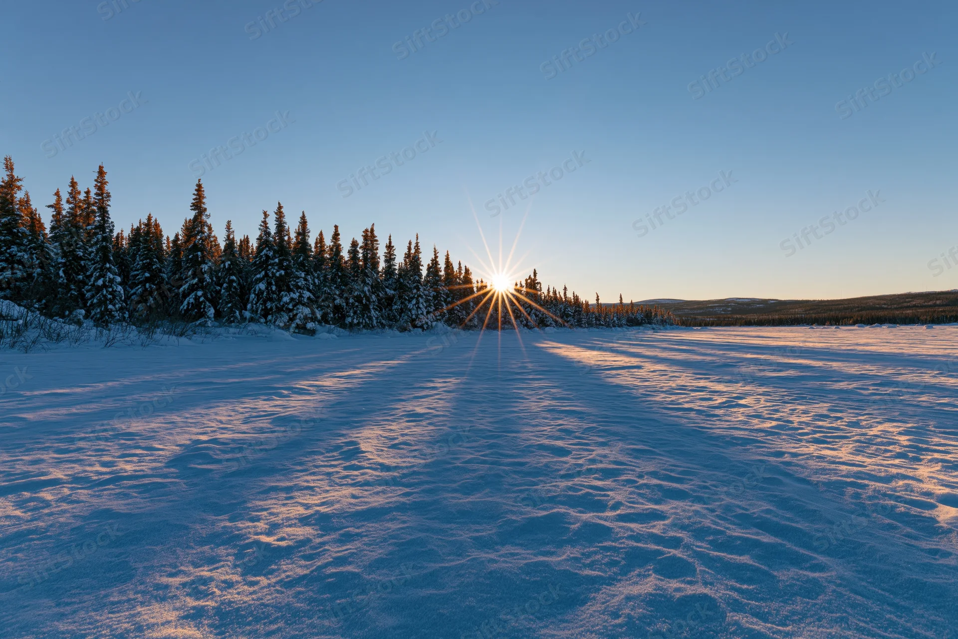 Low winter sun setting over snow-covered spruce forest at horizon