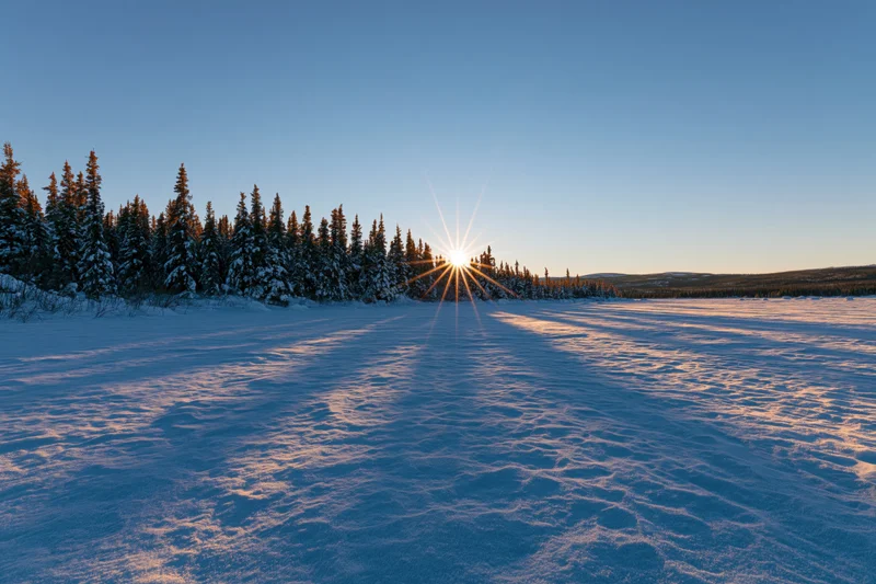 Low winter sun setting over snow-covered spruce forest at horizon