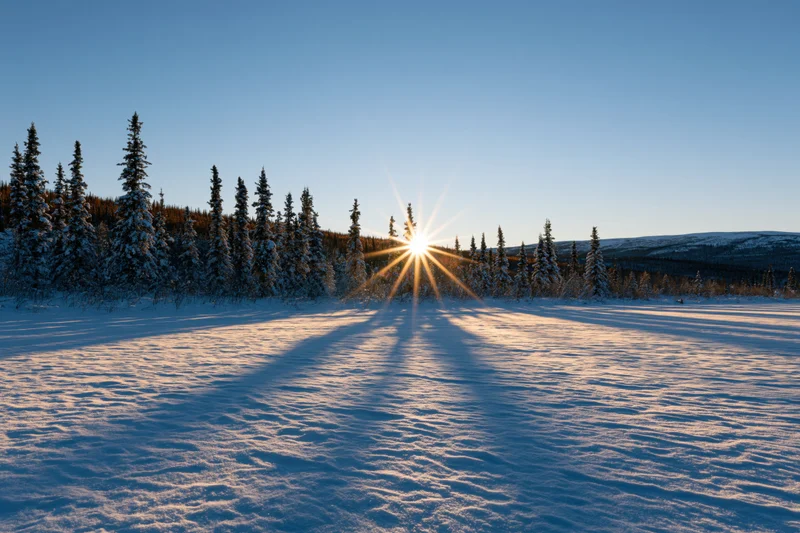 Low winter sun setting behind snow-covered spruce forest casting long shadows across snowy field