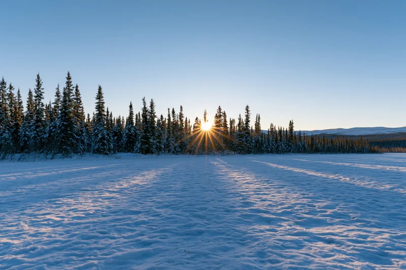 Low winter sun setting behind snow-covered spruce forest in open snowy field