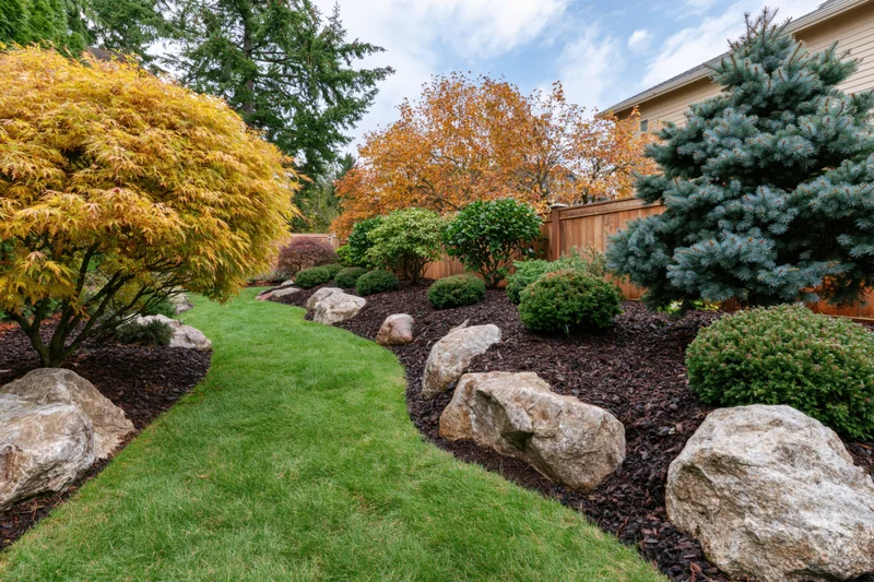 Narrow green lawn bordered by mulched garden beds with autumn-colored trees and shrubs in a residential backyard