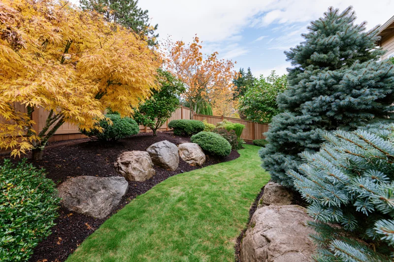 Manicured backyard garden with narrow green lawn bordered by autumn-colored maple, evergreen trees, shrubs, and rocks under a partly cloudy sky