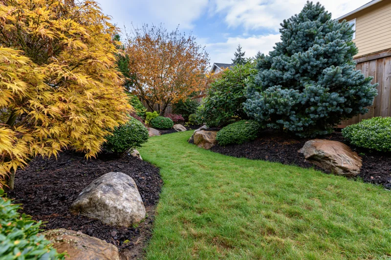 Manicured backyard garden with narrow green lawn bordered by autumn foliage and evergreen trees