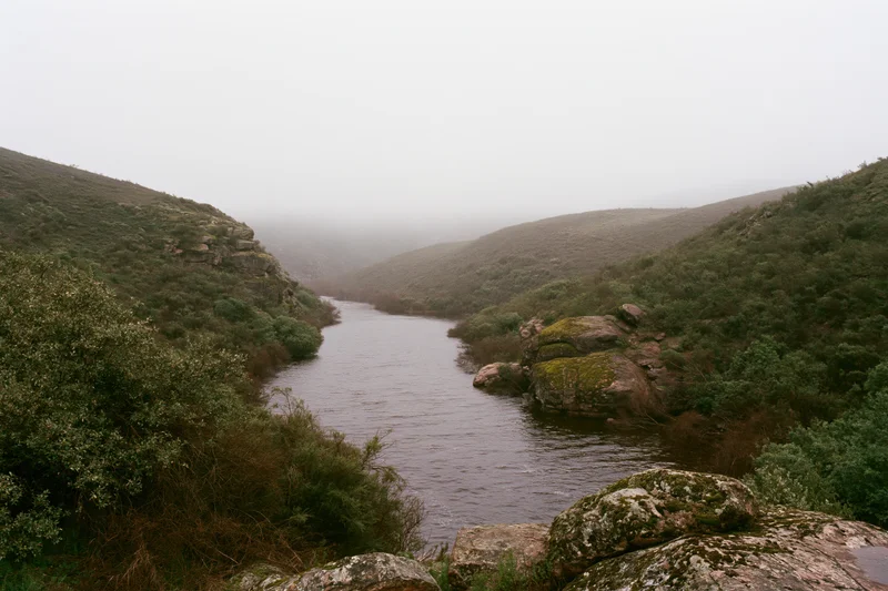 Misty river winding through rocky hills covered in green vegetation