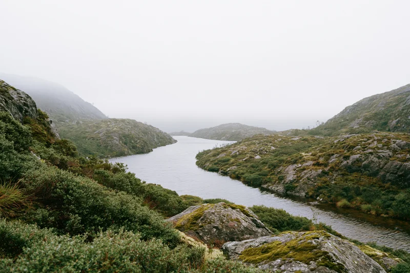 Misty river winding through rocky hills covered in moss and shrubs