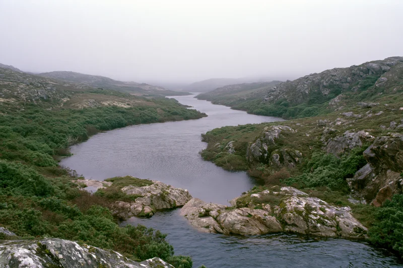 Misty river winding through rocky hills covered in green vegetation and mossy stones