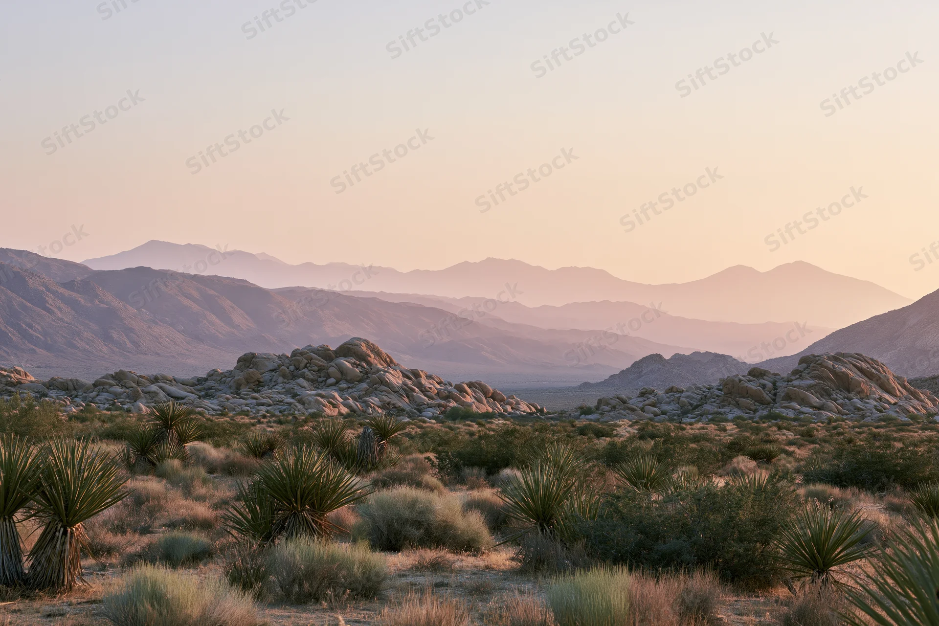 Mojave desert landscape at golden hour with yucca plants and layered mountains in the distance