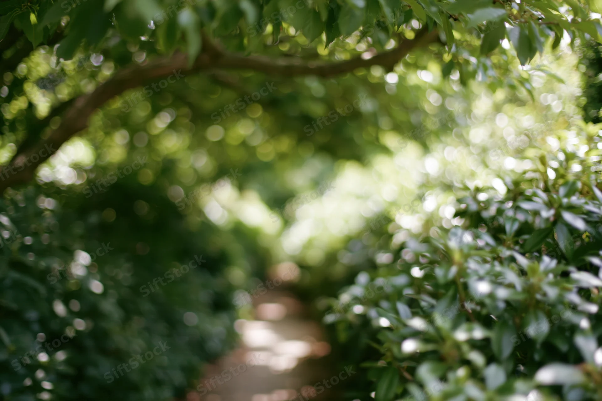 Narrow garden path receding into distance flanked by dense green foliage and trees with dappled sunlight filtering through the canopy