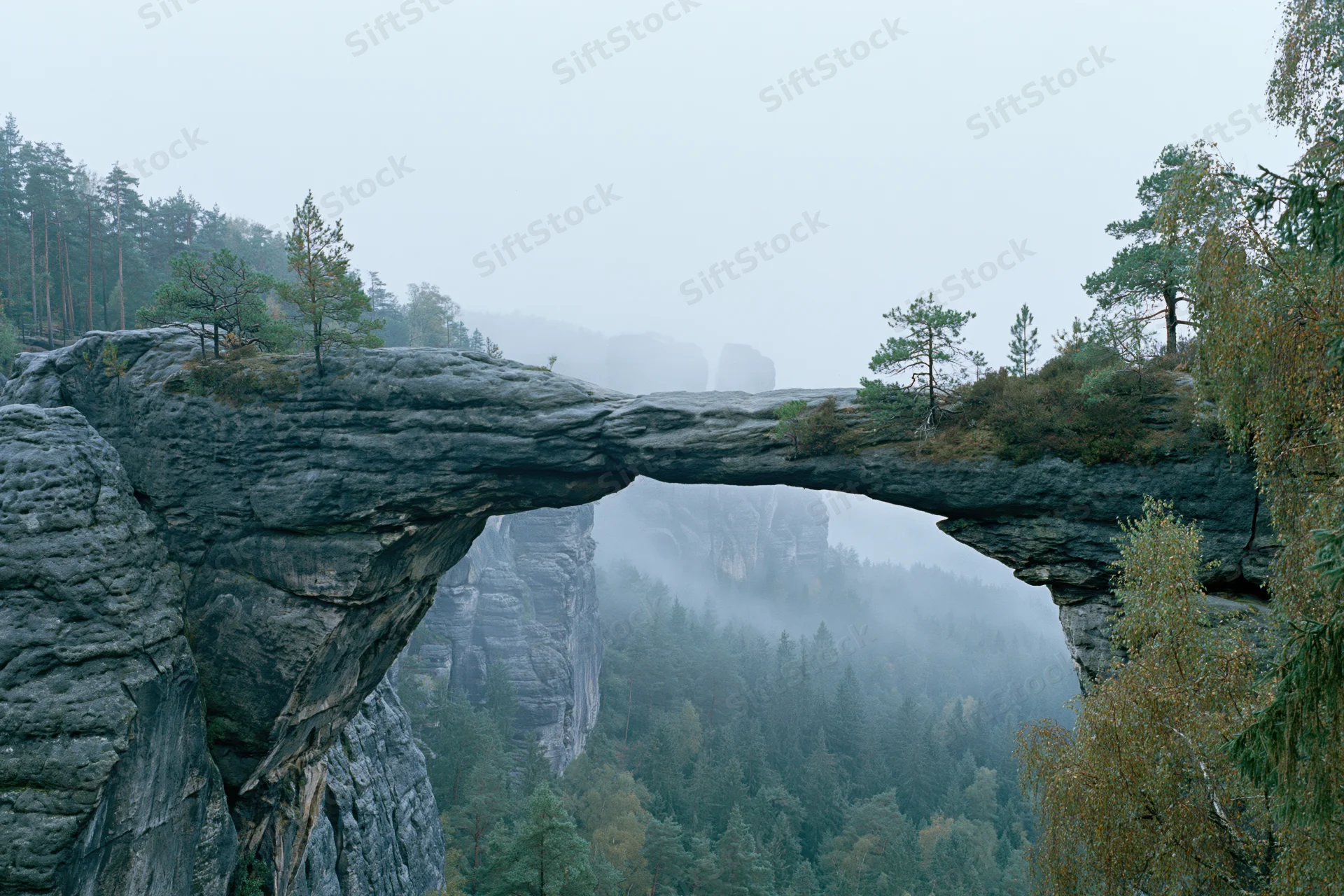 Natural sandstone rock arch spanning a misty gorge with sparse pine trees on its edges