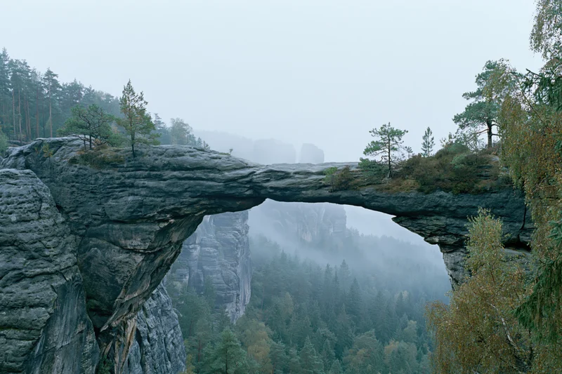 Natural sandstone rock arch spanning a misty gorge with sparse pine trees on its edges
