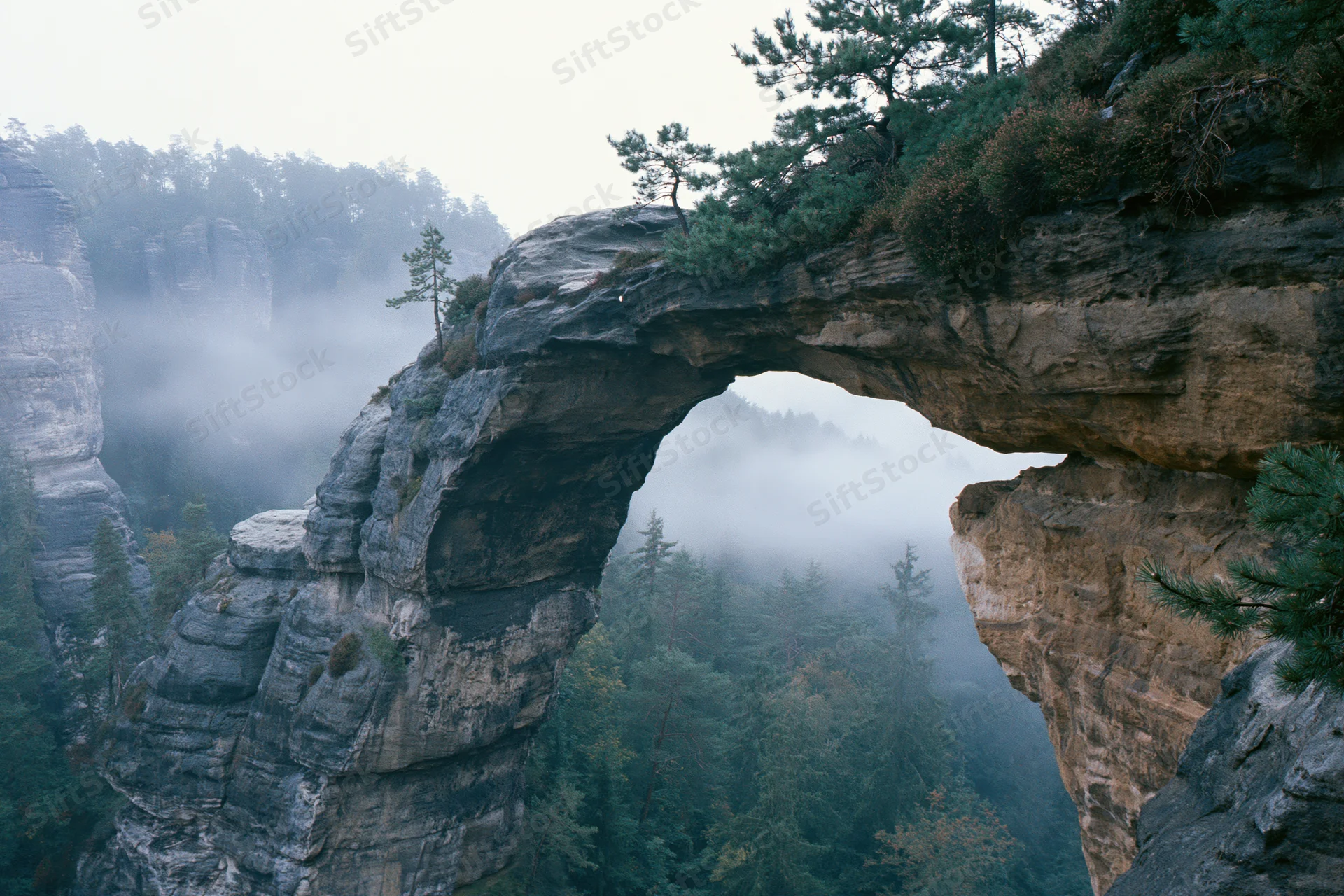 Natural sandstone rock arch spanning a misty gorge with sparse pine trees and forest below