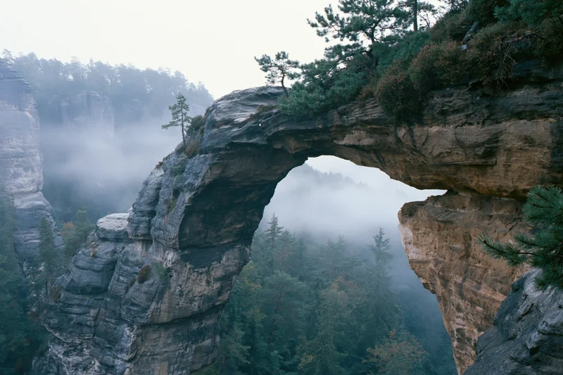 Natural sandstone rock arch spanning a misty gorge with sparse pine trees and forest below