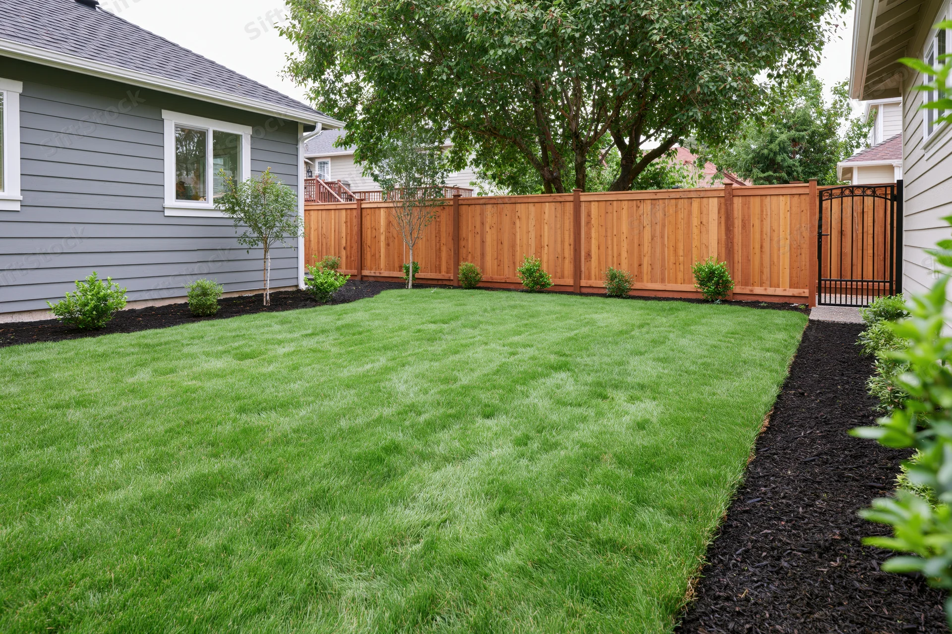 Newly landscaped suburban backyard with freshly laid sod and dark mulch borders along wooden privacy fence