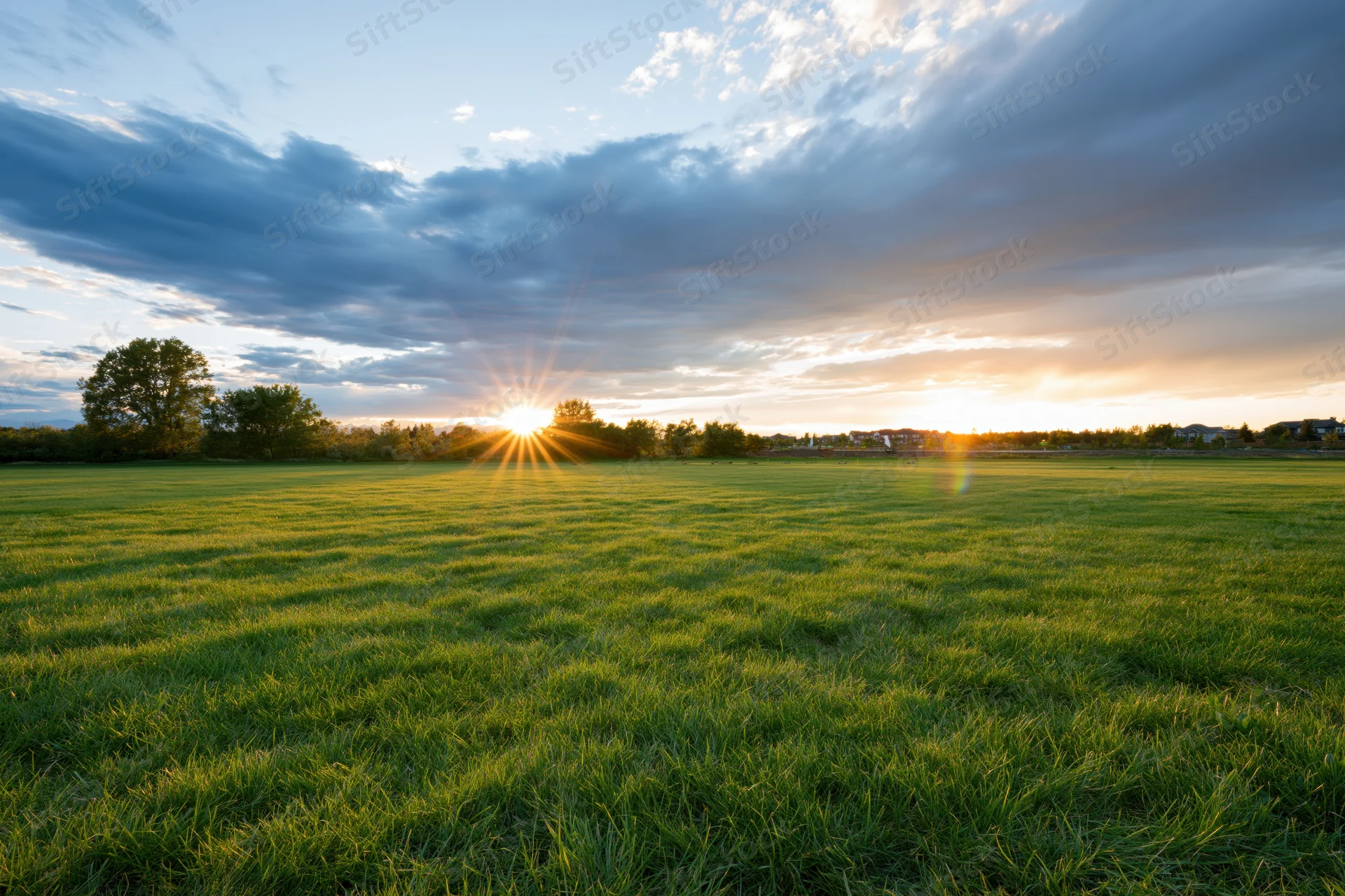Open green meadow at golden hour with sun low on the horizon breaking through clouds