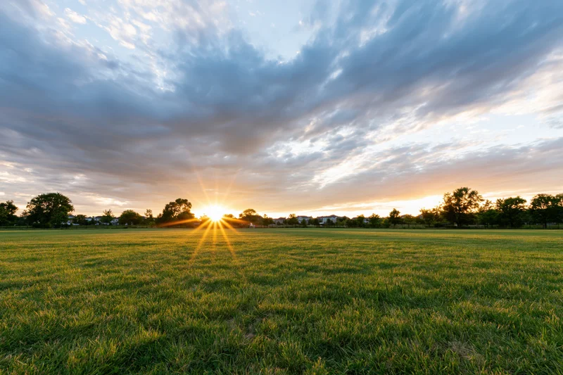 Open green meadow at golden hour with sun low on horizon casting rays across grassy field