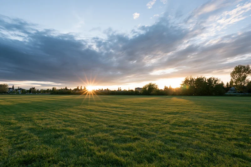 Open green meadow at golden hour with sun low on the horizon breaking through clouds