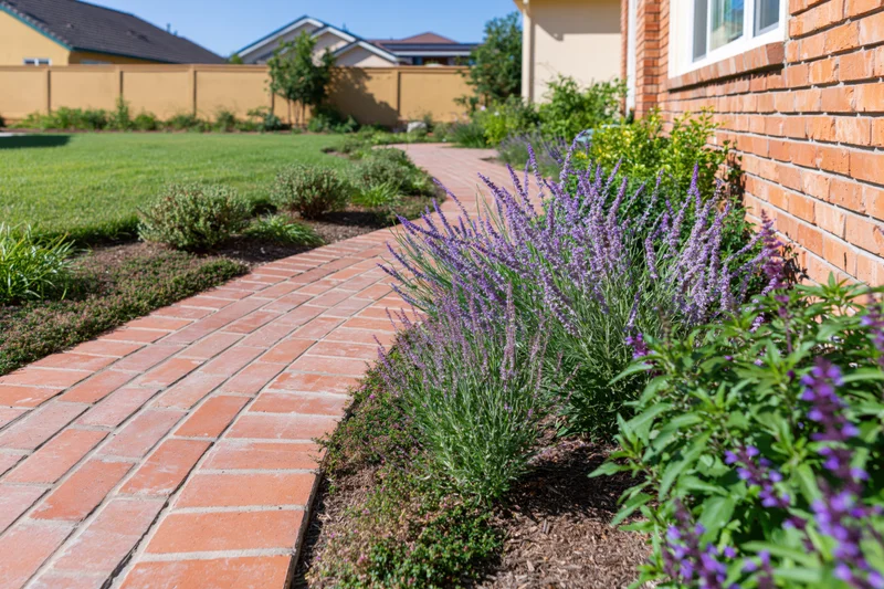 Curved brick paver pathway bordered by lavender and shrubs in a residential front garden
