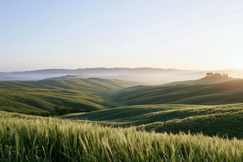 Rolling tuscan hills covered in green wheat fields at sunrise with mist in the valley
