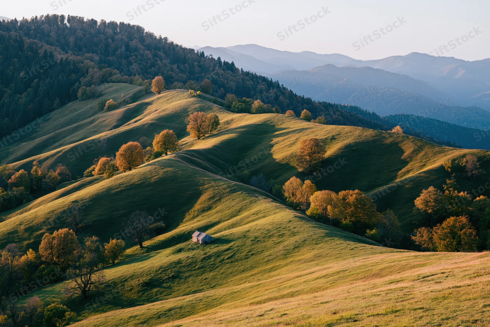 Rolling green hills with scattered trees and a small cabin in a mountain valley at golden hour
