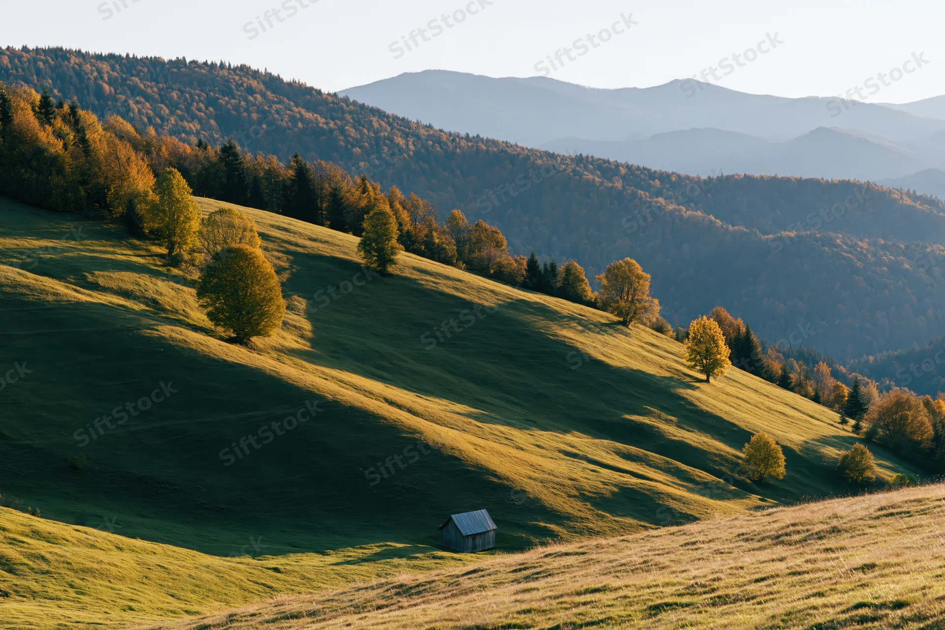 Rolling green hills with scattered trees and a small shed in a mountain valley at golden hour