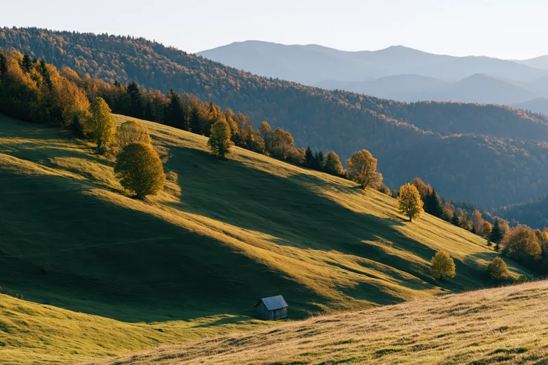 Rolling green hills with scattered trees and a small shed in a mountain valley at golden hour