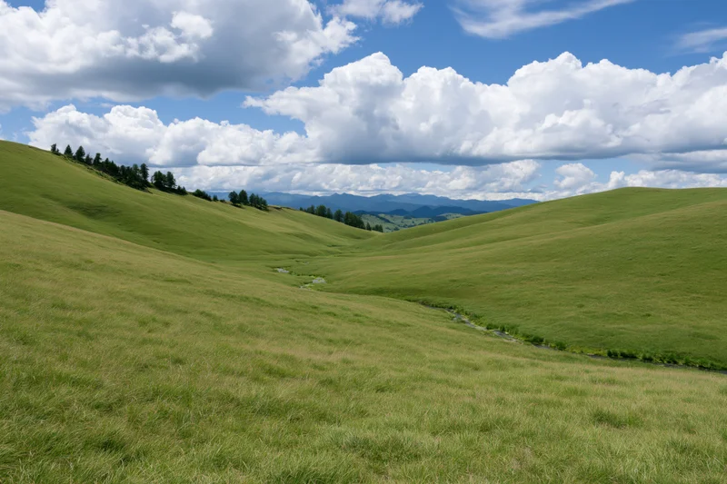 Rolling green meadow hills stretching to a tree line under a blue sky with white clouds