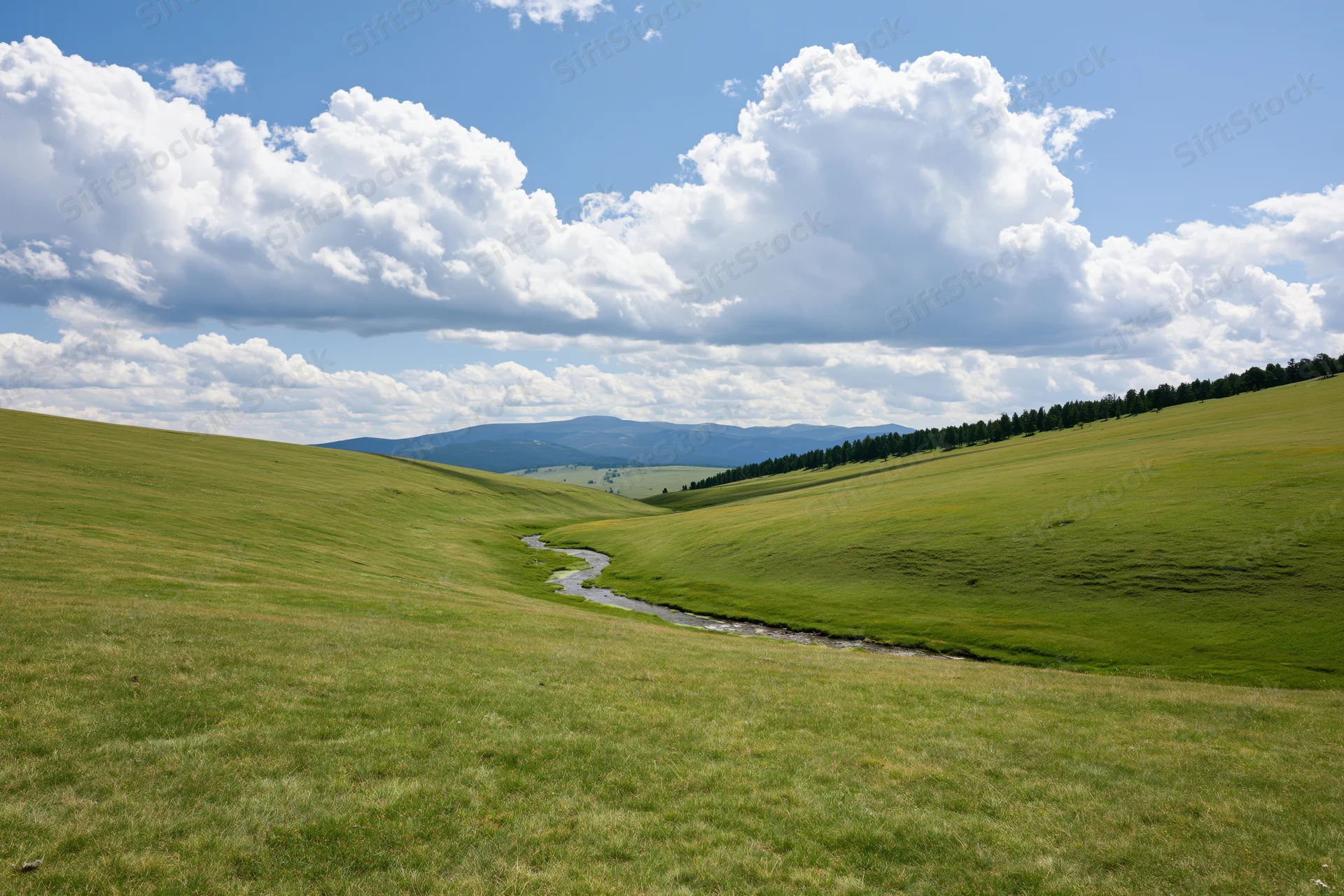 Rolling green meadow hills with a winding stream leading to a distant tree line under a blue sky with white clouds