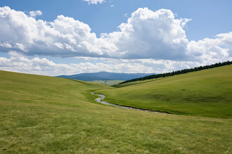 Rolling green meadow hills with a winding stream leading to a distant tree line under a blue sky with white clouds
