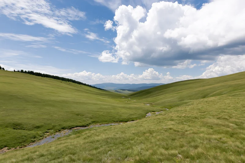 Rolling green meadow hills with a stream winding through a valley under a blue sky with white clouds