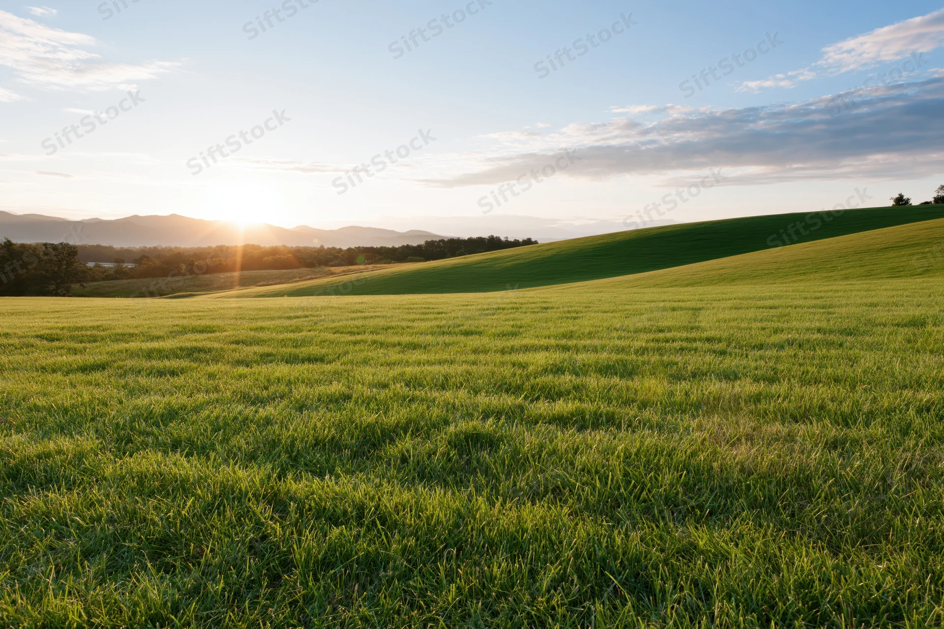 Rolling green meadow with gently curved hills under sunrise sky