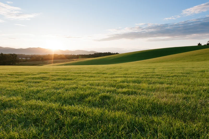 Rolling green meadow with gently curved hills under sunrise sky