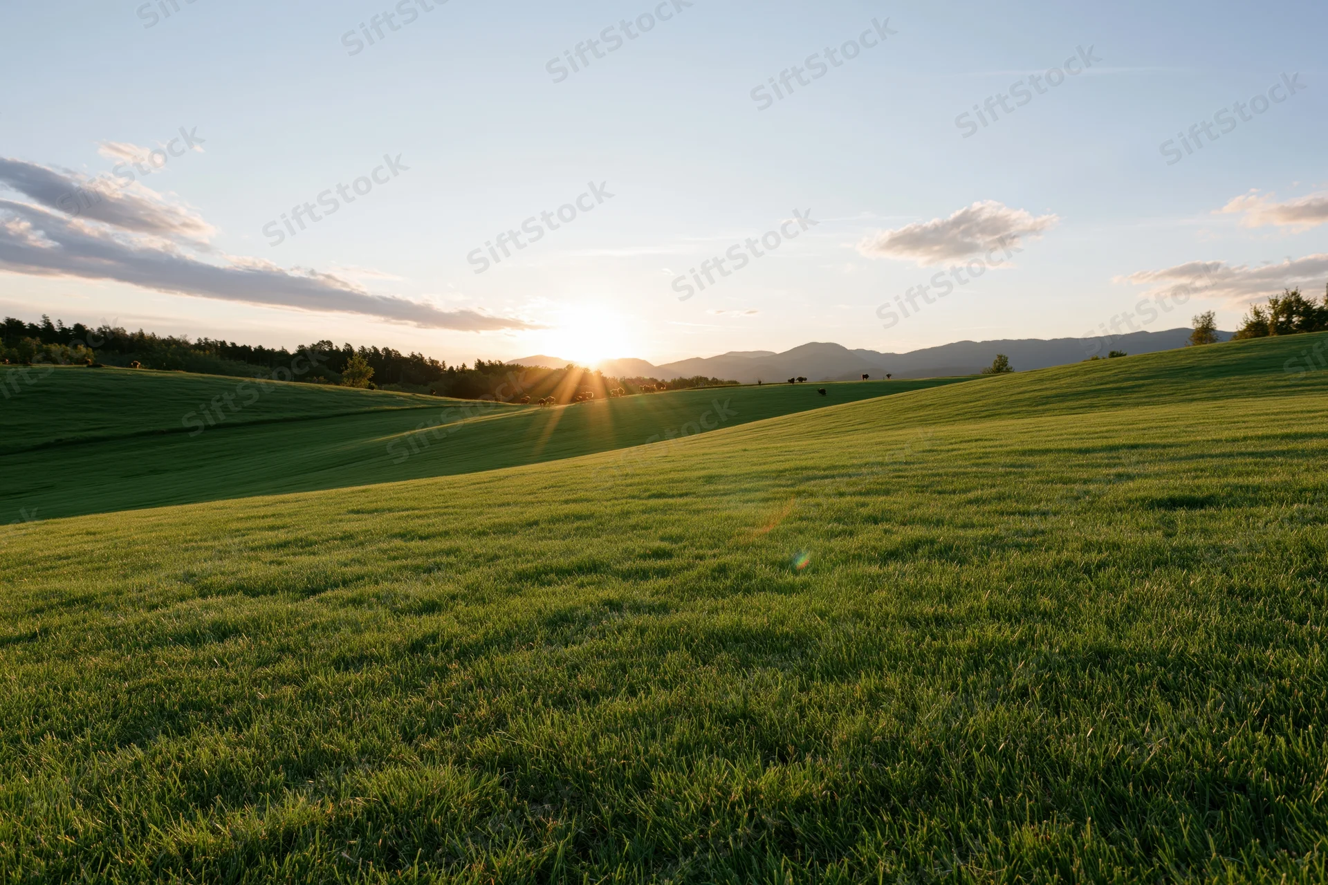 Rolling green meadow with gently curved hills under a sunset sky