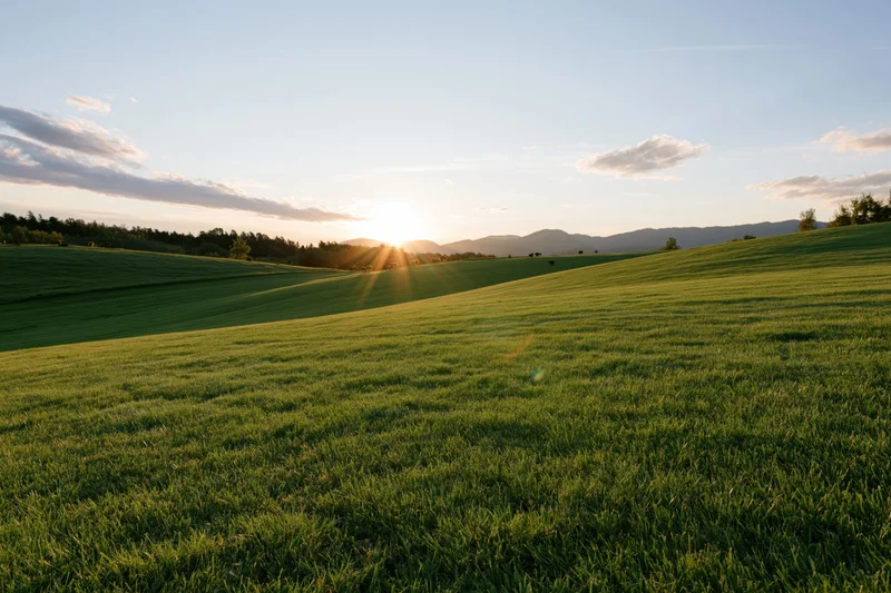 Rolling green meadow with gently curved hills under a sunset sky