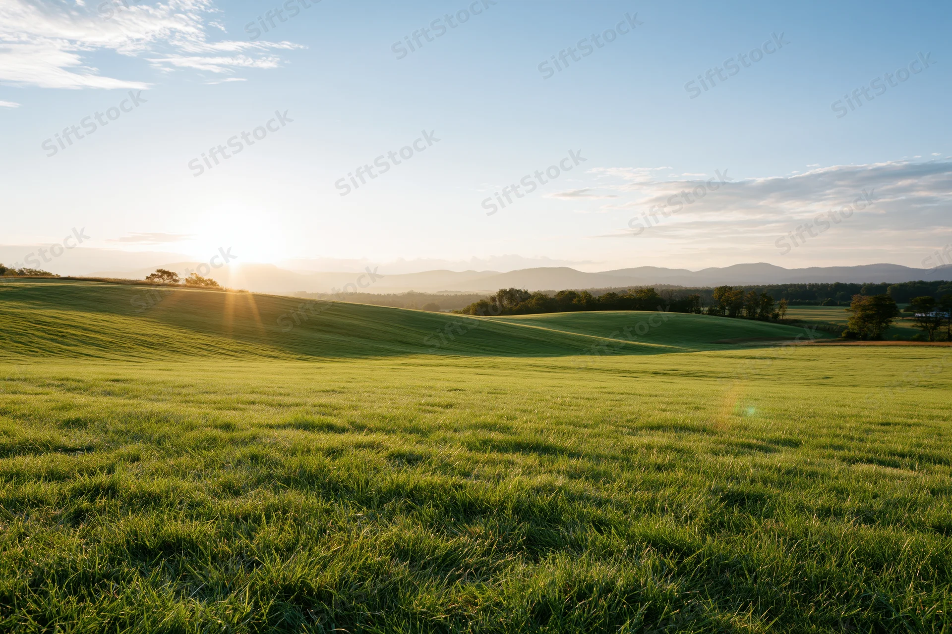 Rolling green meadow under morning sun with distant hills and trees in the background
