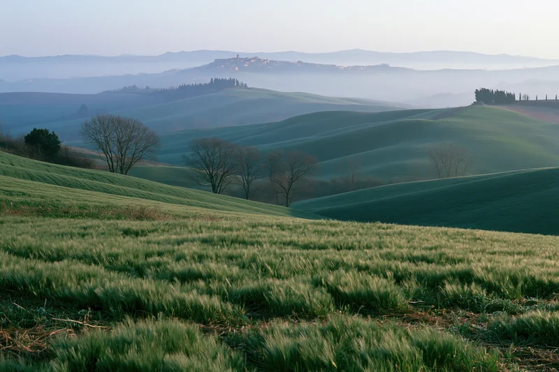 Rolling green wheat fields across undulating tuscan hills with distant village on hilltop in morning mist