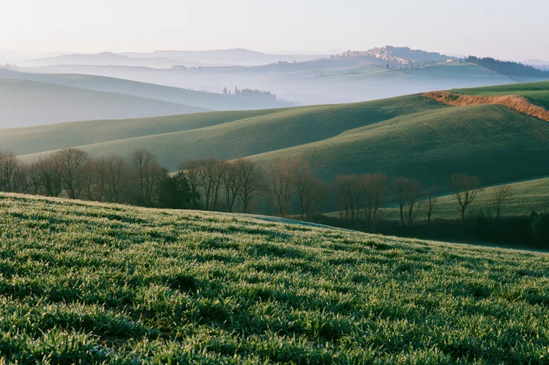Rolling green wheat fields across undulating tuscan hills in morning mist